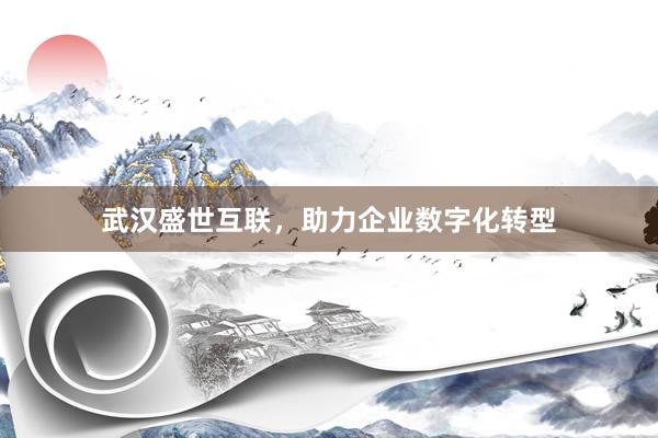 武汉盛世互联，助力企业数字化转型